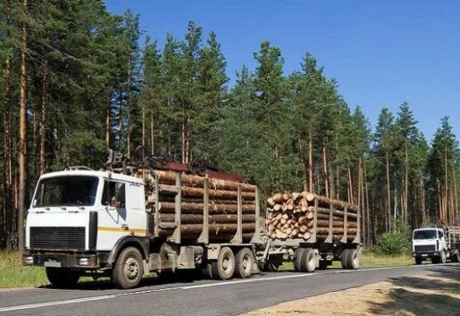 Лесовоз Лесовозы для перевозки леса, аренда и услуги. взять в аренду, заказать, цены, услуги - Гагарин