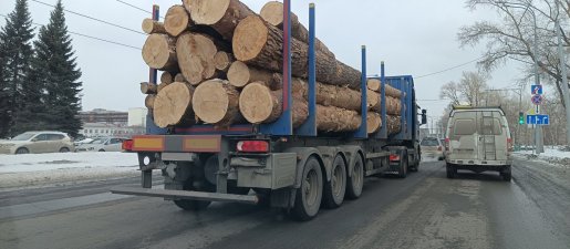 Поиск транспорта для перевозки леса, бревен и кругляка стоимость услуг и где заказать - Смоленск